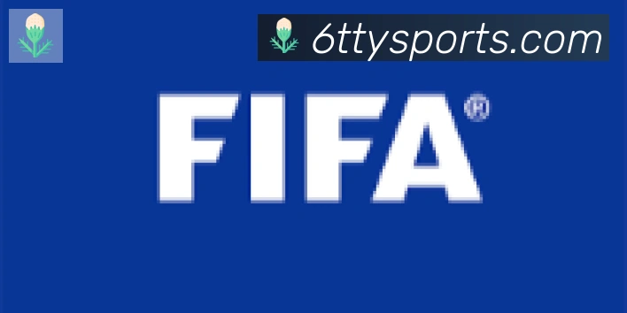 6T体育合作伙伴