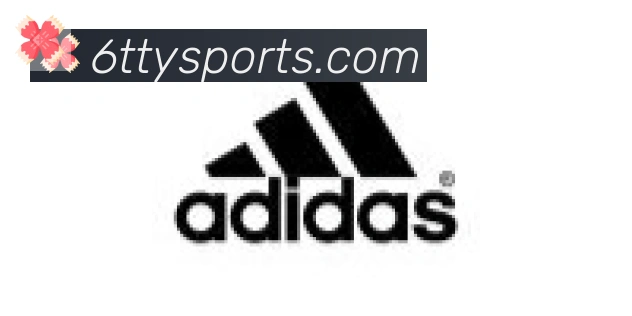 6T体育合作伙伴