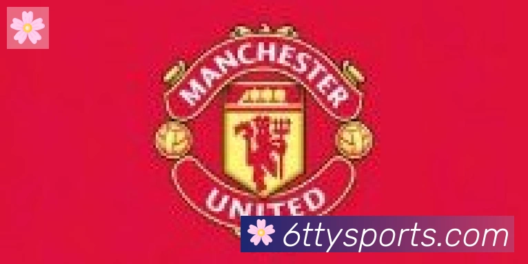 6T体育合作伙伴