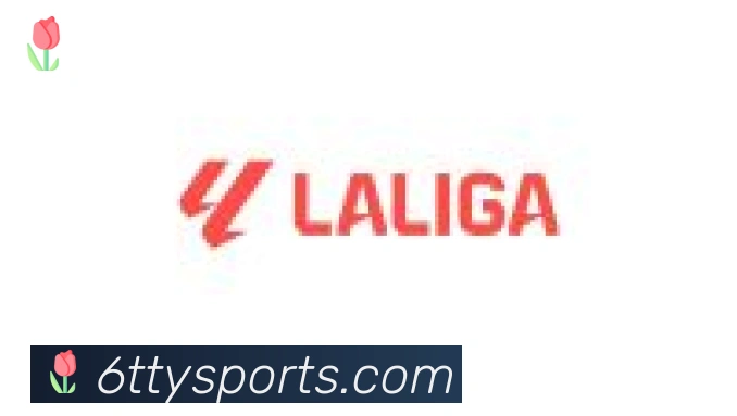 6T体育合作伙伴